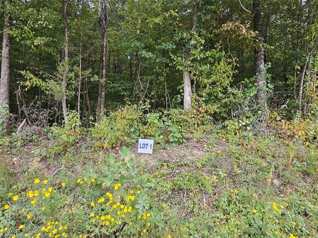 Lot 1 Doll Branch Road Property Photo