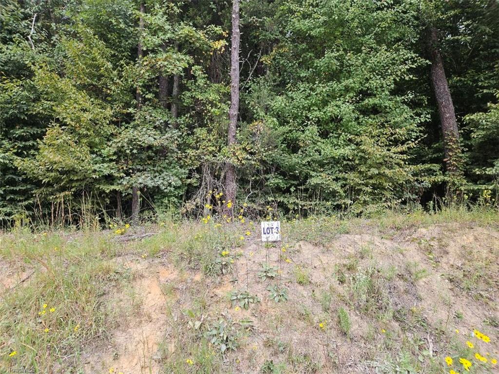 Lot 3 Doll Branch Road Property Photo