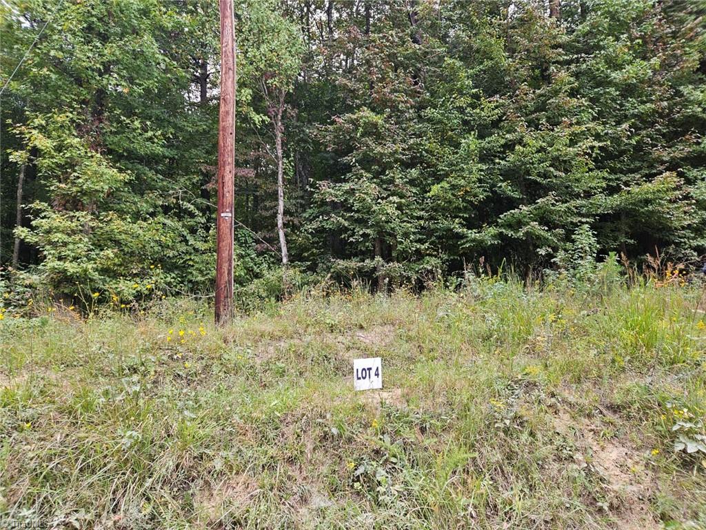Lot 4 Doll Branch Road Property Photo