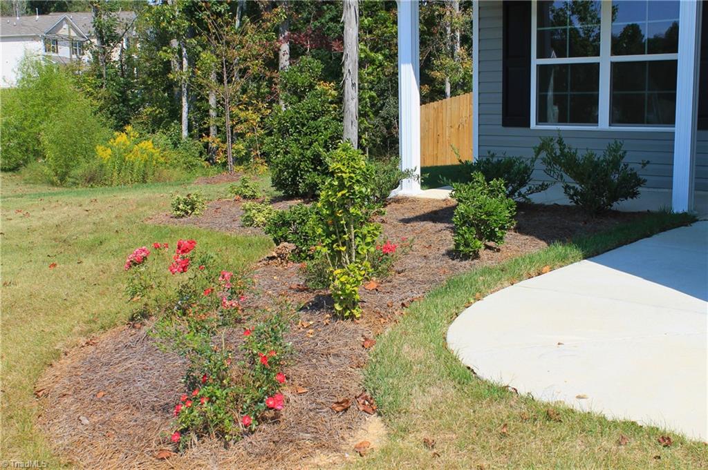 3530 Wilcox Court Property Photo 3