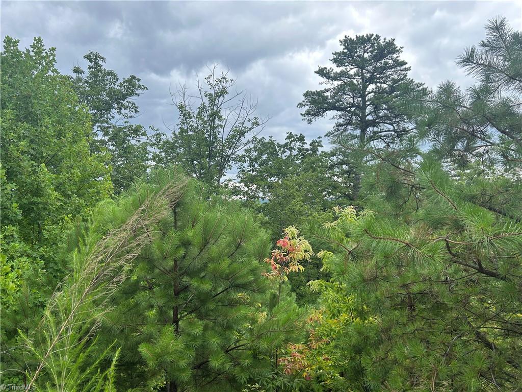 Tbd Lobelia Lane Property Photo 2