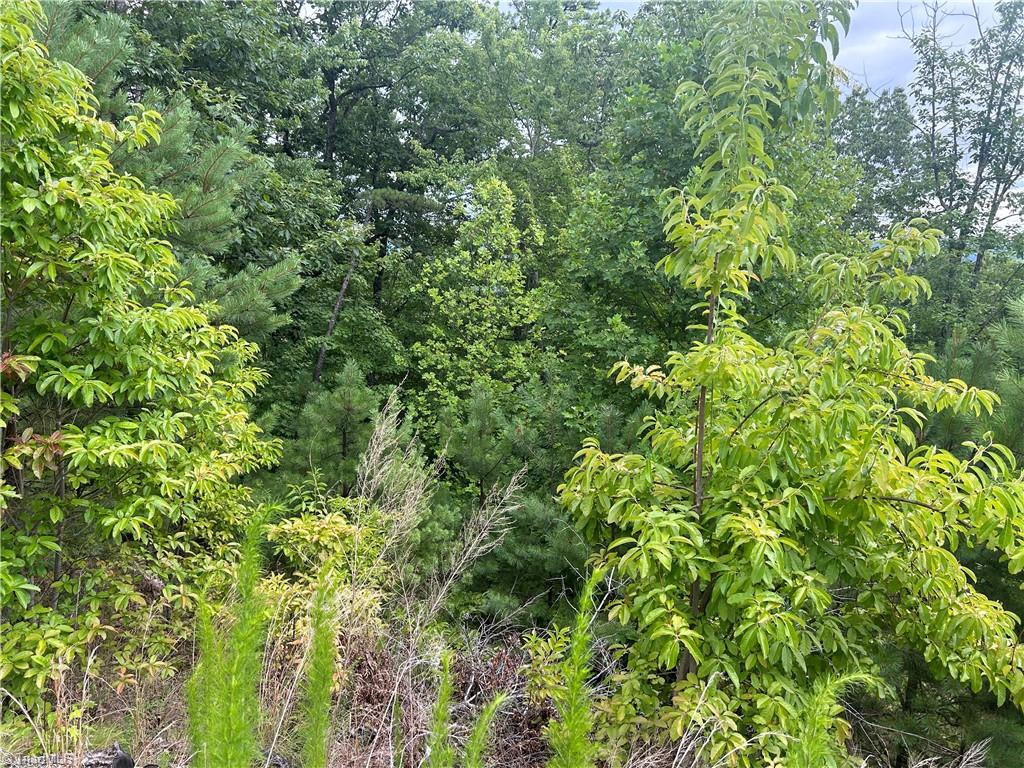 Tbd Lobelia Lane Property Photo 3