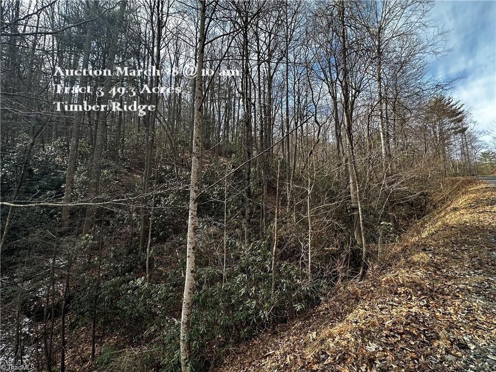 Tract 3 Timber Ridge Road Property Photo