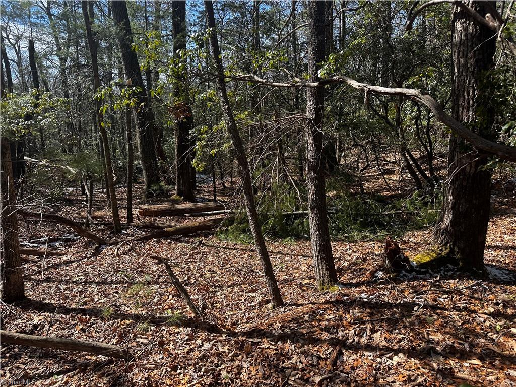 Tract 7 Timber Ridge Road Property Photo