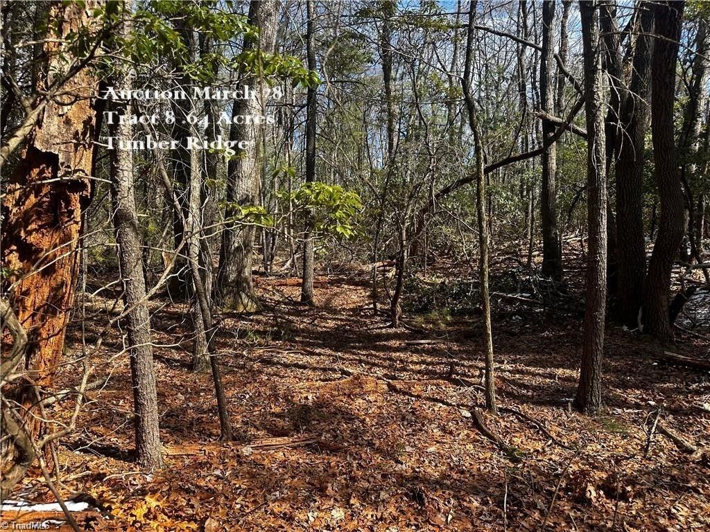 Tract 8 Timber Ridge Road Property Photo