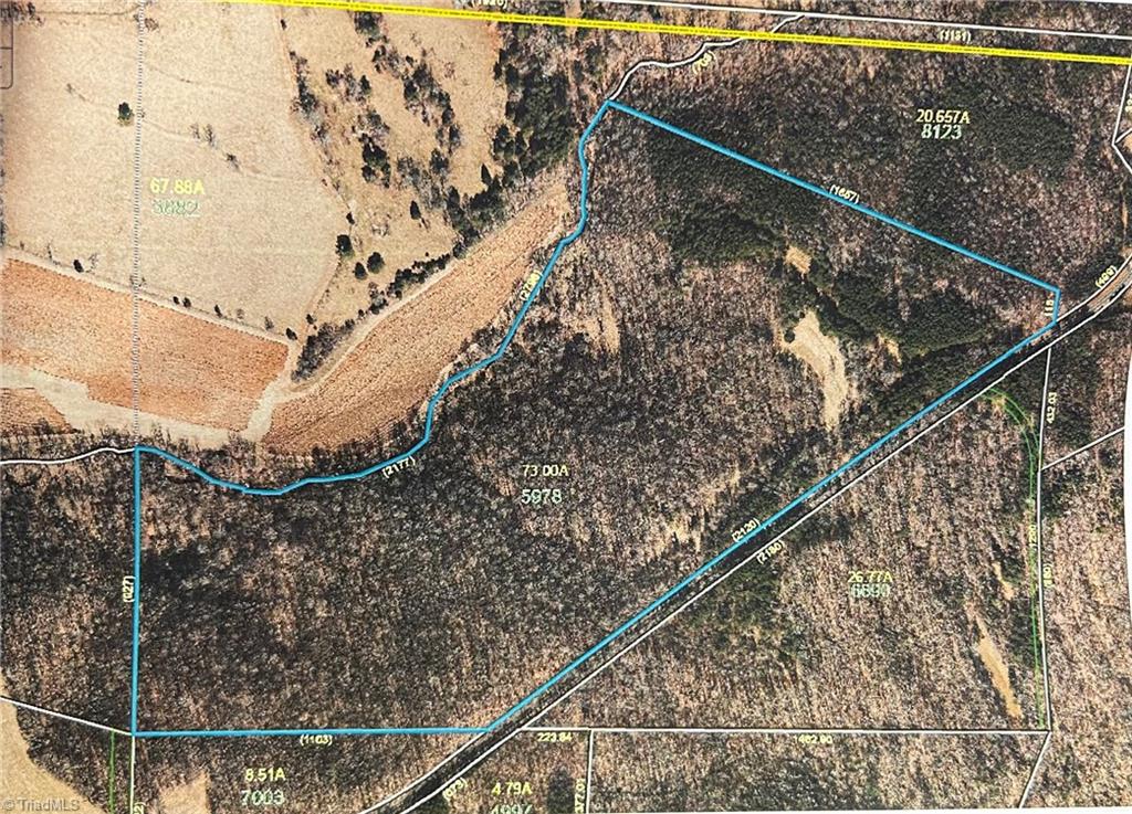 0 Beasley School Road Property Photo