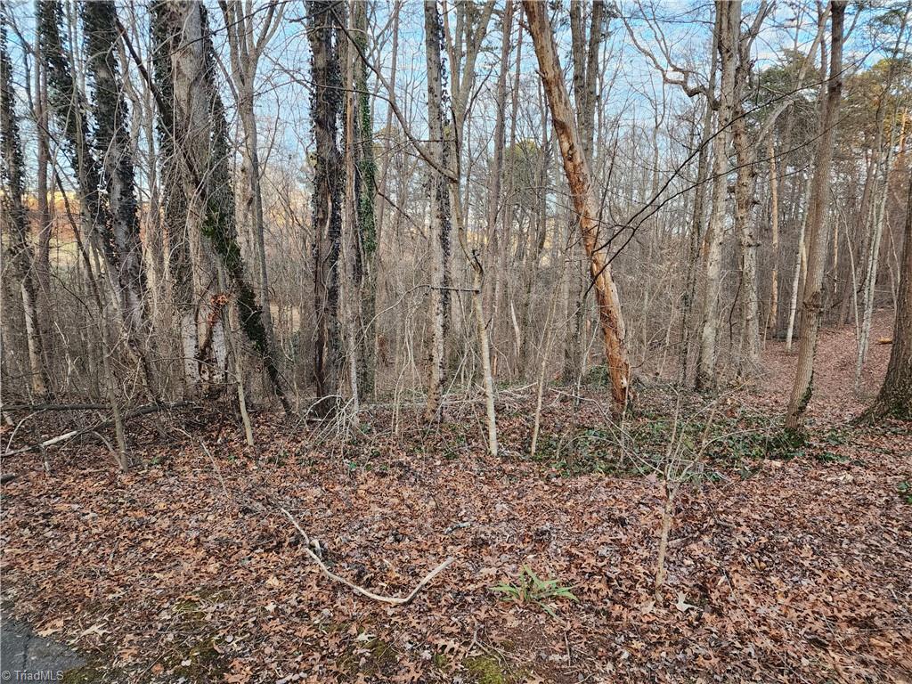 00 Nancy Drive Property Photo 1