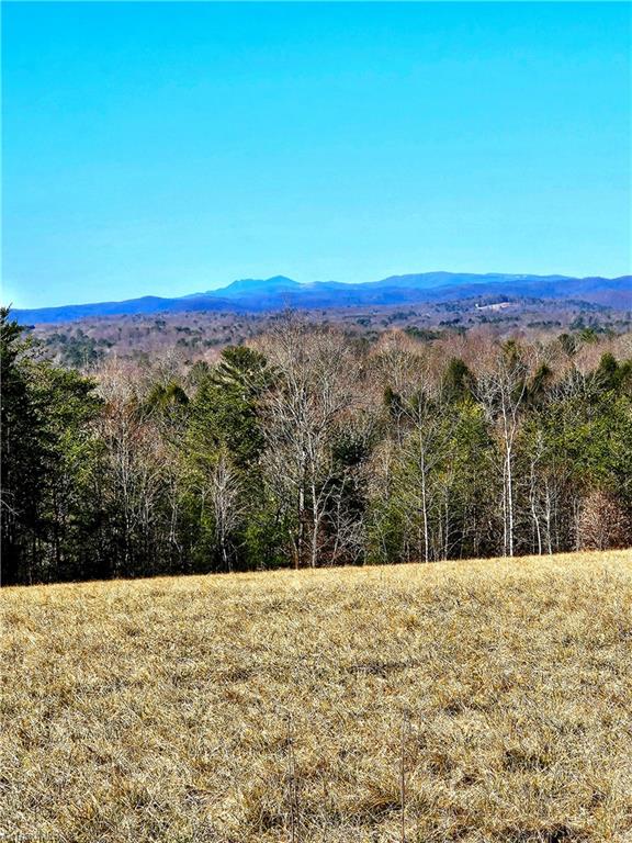 00 Byrd Ridge Road Property Photo
