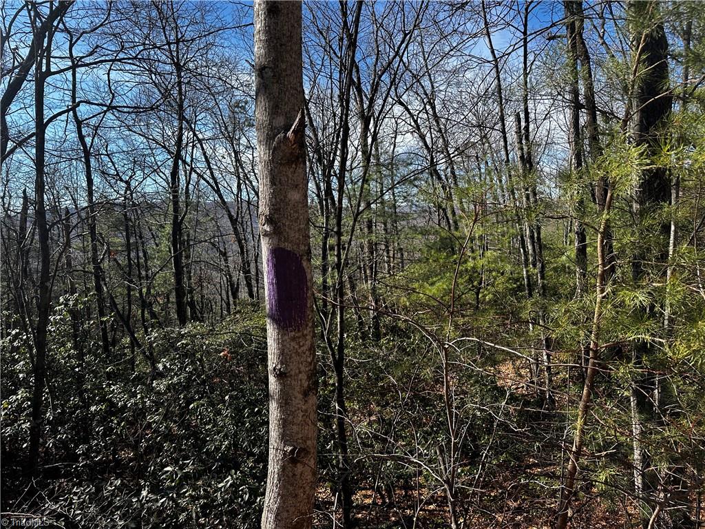 Lot 209 Casey Mountain Road Property Photo