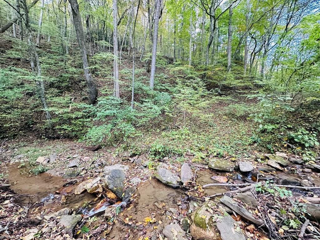 Tbd Seven Springs Property Photo