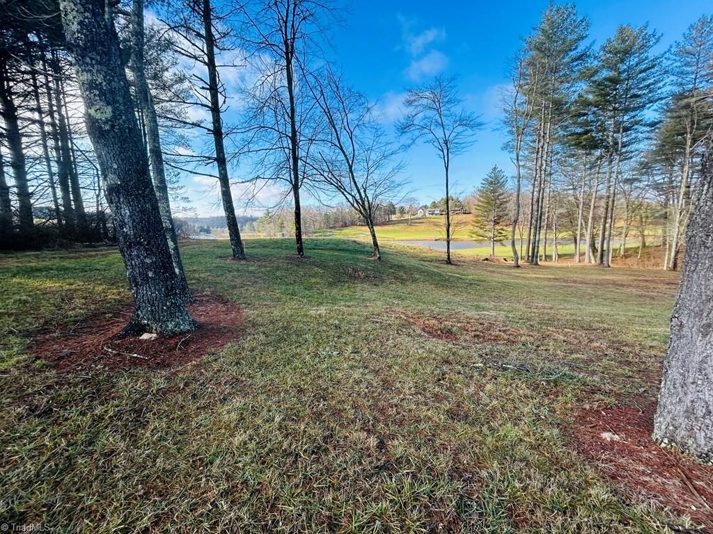 Tbd Manor House Drive Property Photo 3
