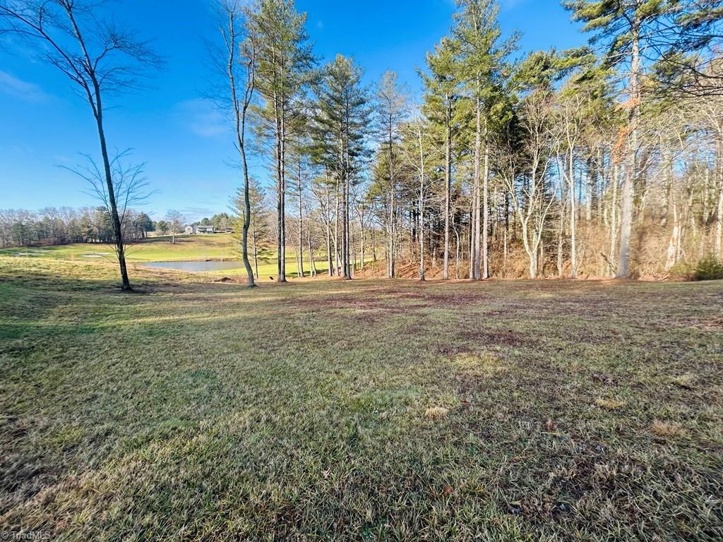 Tbd Manor House Drive Property Photo 11