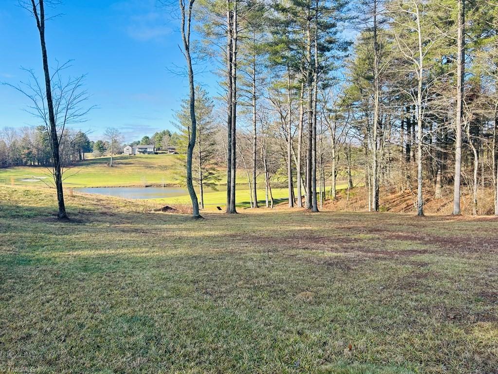 Tbd Manor House Drive Property Photo 12