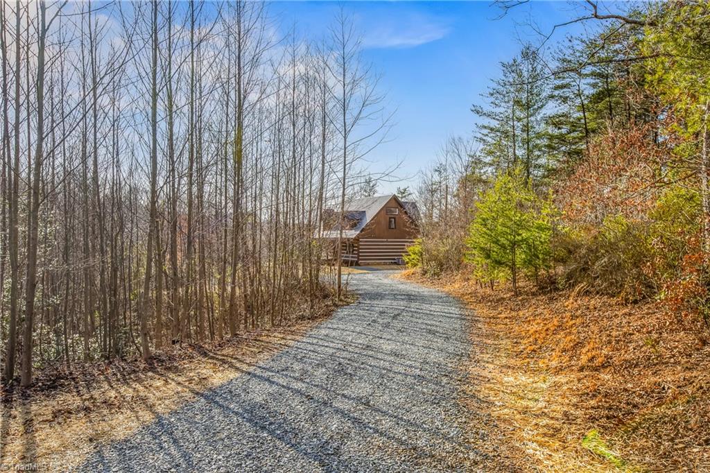 4245 Hillbilly Hollar Drive Property Photo 1