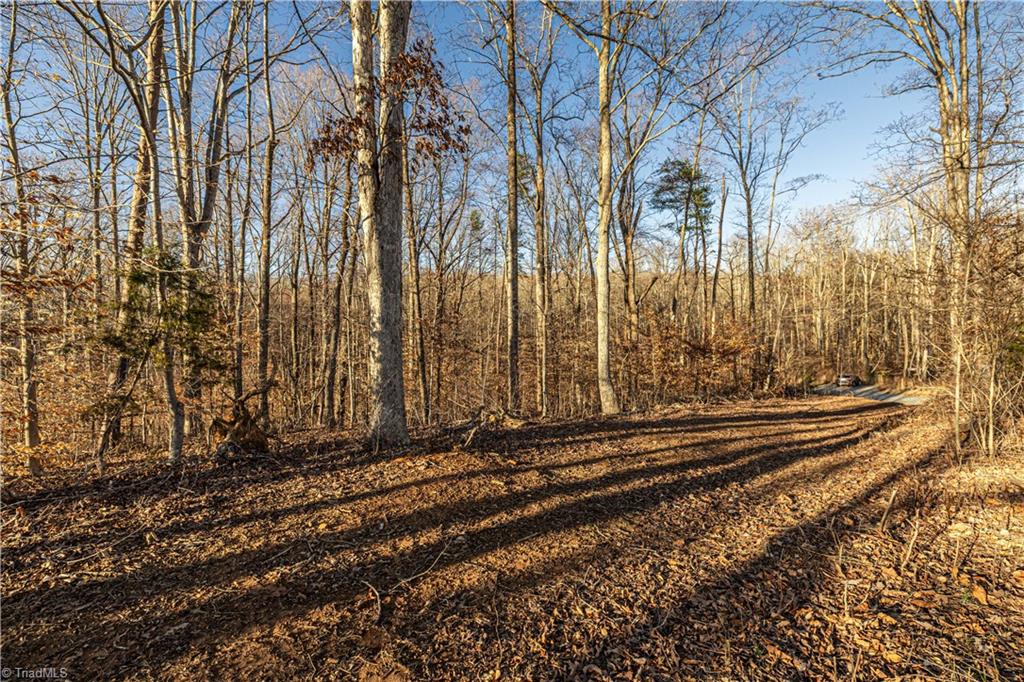 7607 Skippers Trace Property Photo