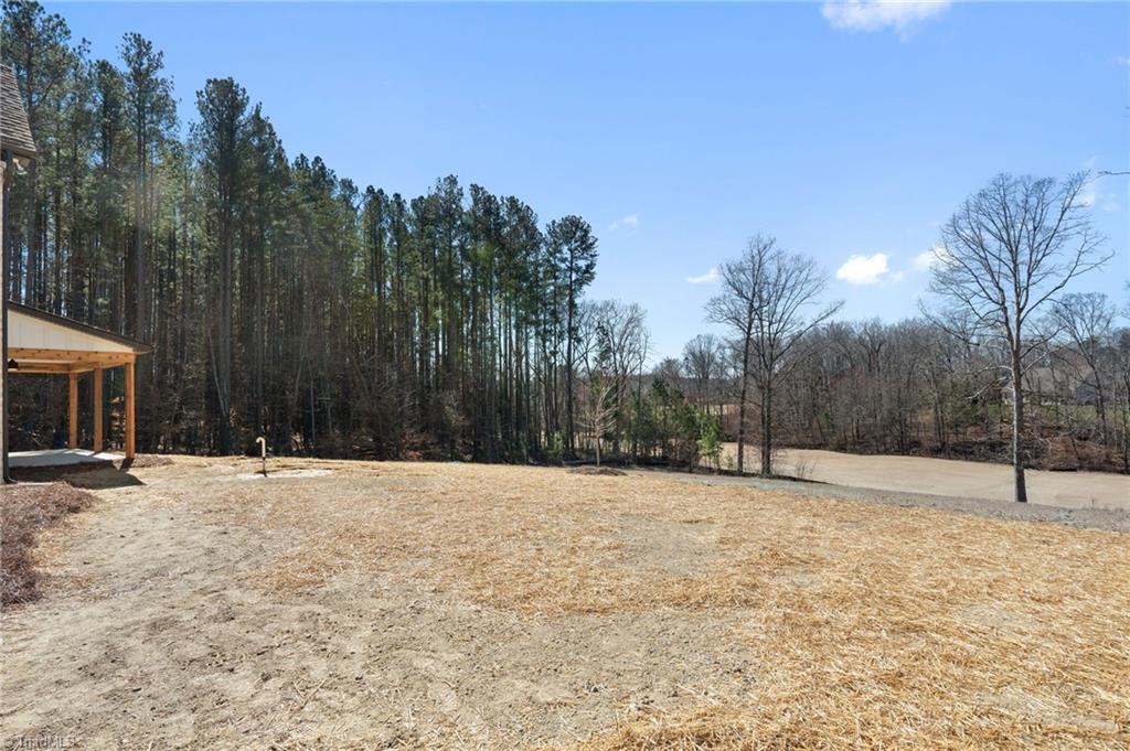 1055 Medinah Drive Property Photo 39