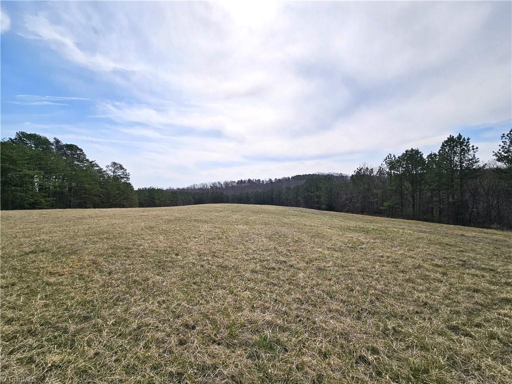 Xx 9.91ac Lot 1 Payne Road Property Photo