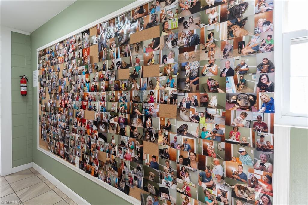 1020 Alamo Drive Property Photo 16