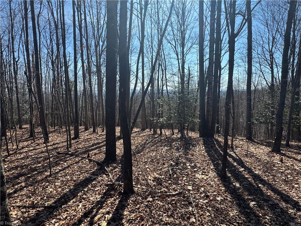 Lot 19 Overland Trail Property Photo