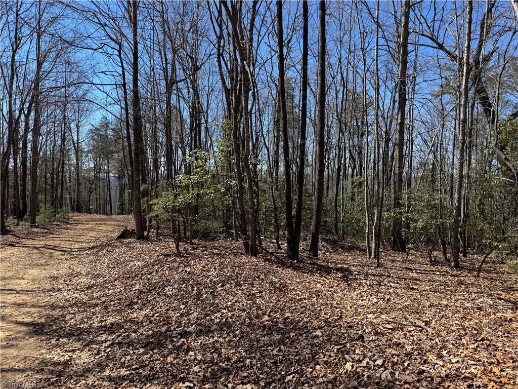 Lot 10 Overland Trail Property Photo