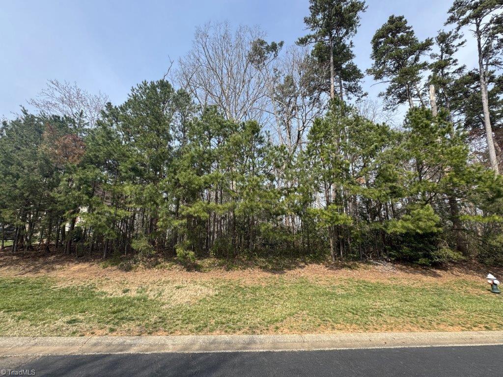 441 Glenbrook Spring Property Photo 2