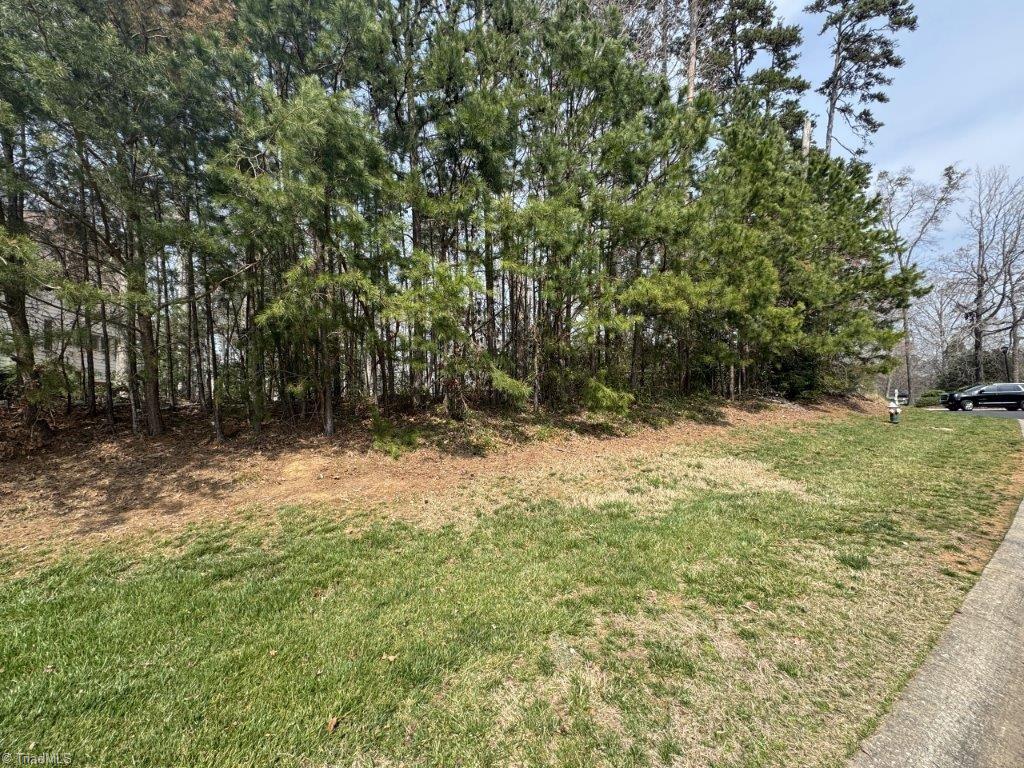 441 Glenbrook Spring Property Photo 3