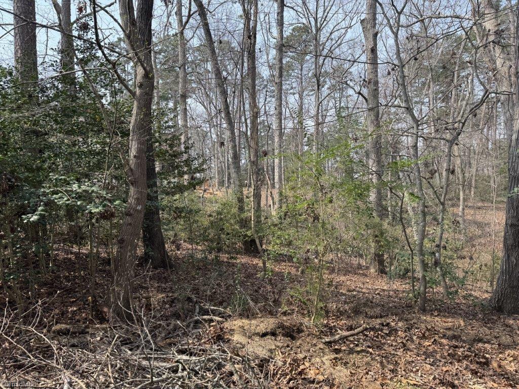 441 Glenbrook Spring Property Photo 4