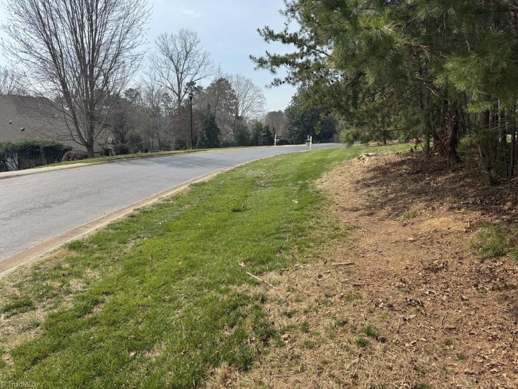 441 Glenbrook Spring Property Photo 8