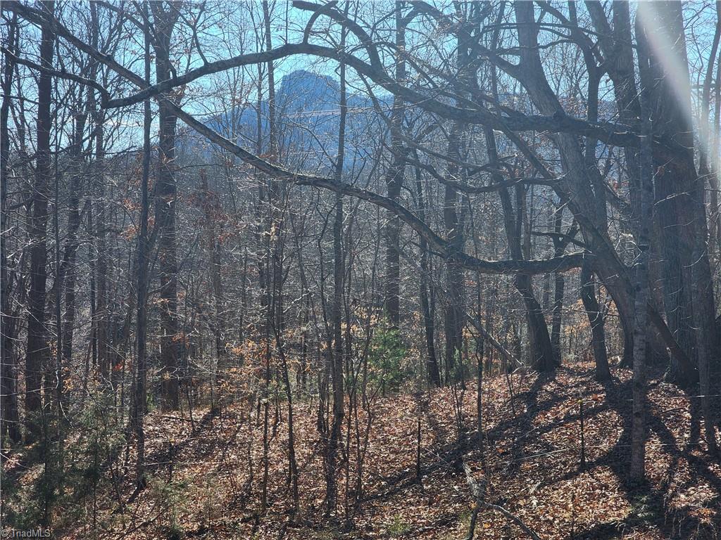 00 Golf Course Road Property Photo 1