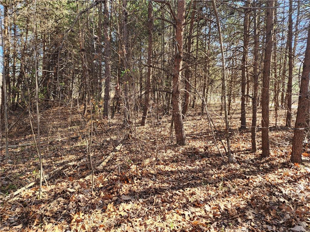 00 Golf Course Road Property Photo 5