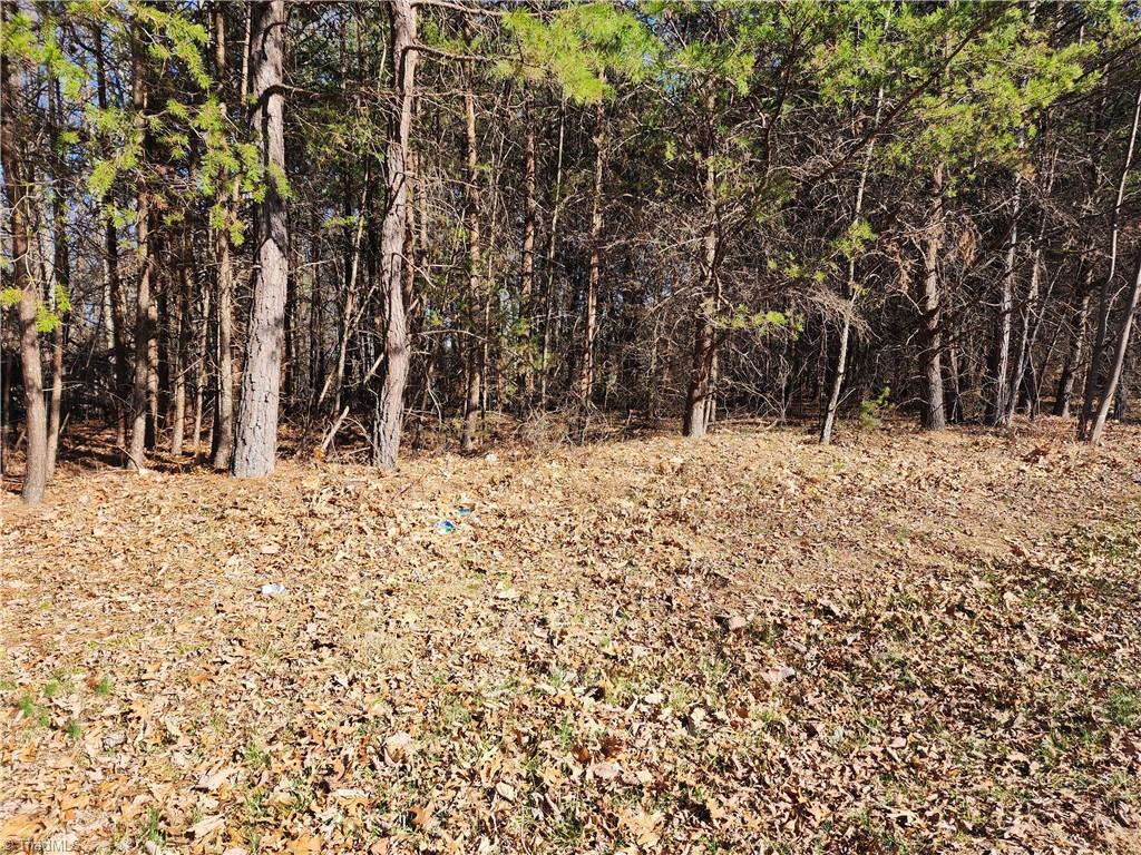 00 Golf Course Road Property Photo 12