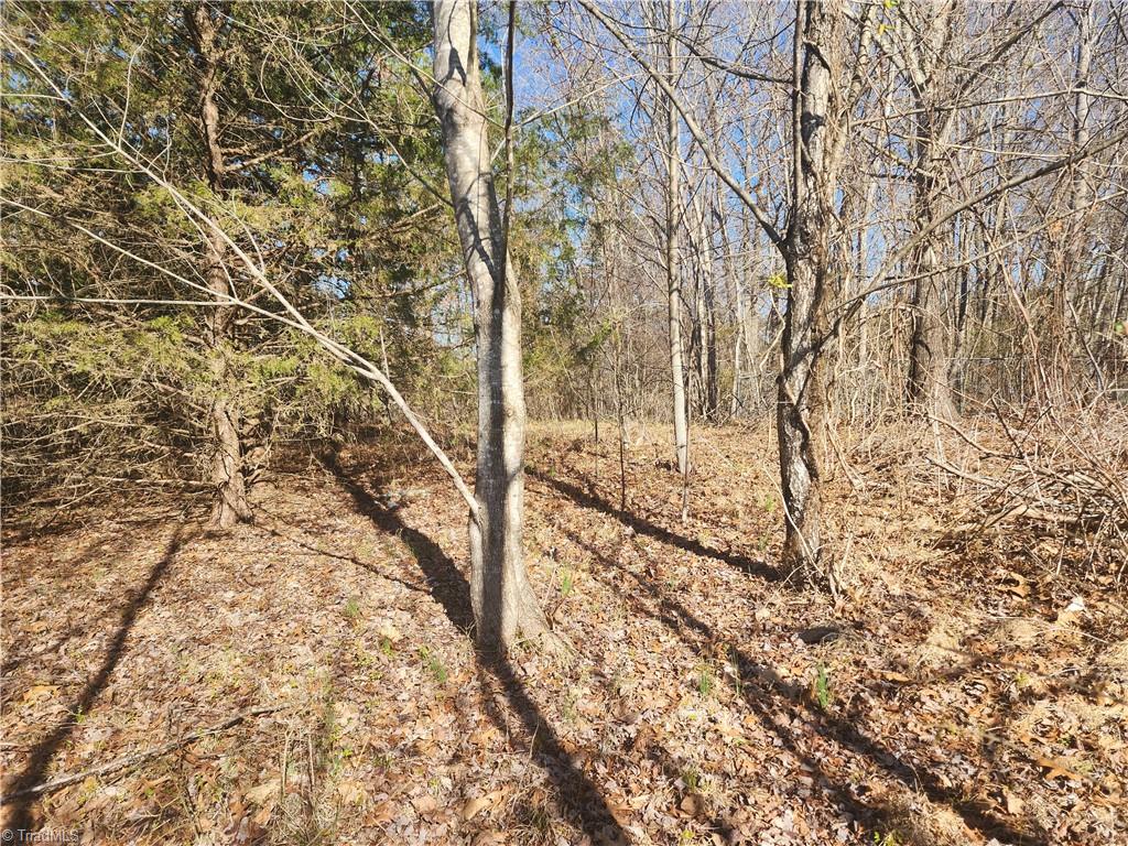 00 Golf Course Road Property Photo 13
