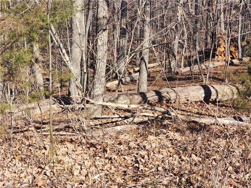 00 Golf Course Road Property Photo 15