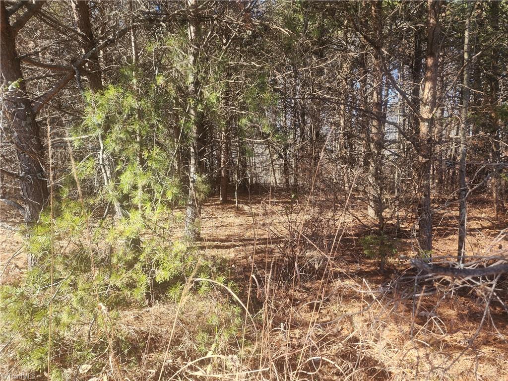 00 Golf Course Road Property Photo 16