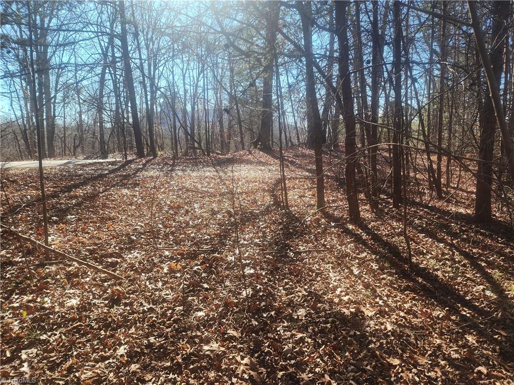 00 Golf Course Road Property Photo 17