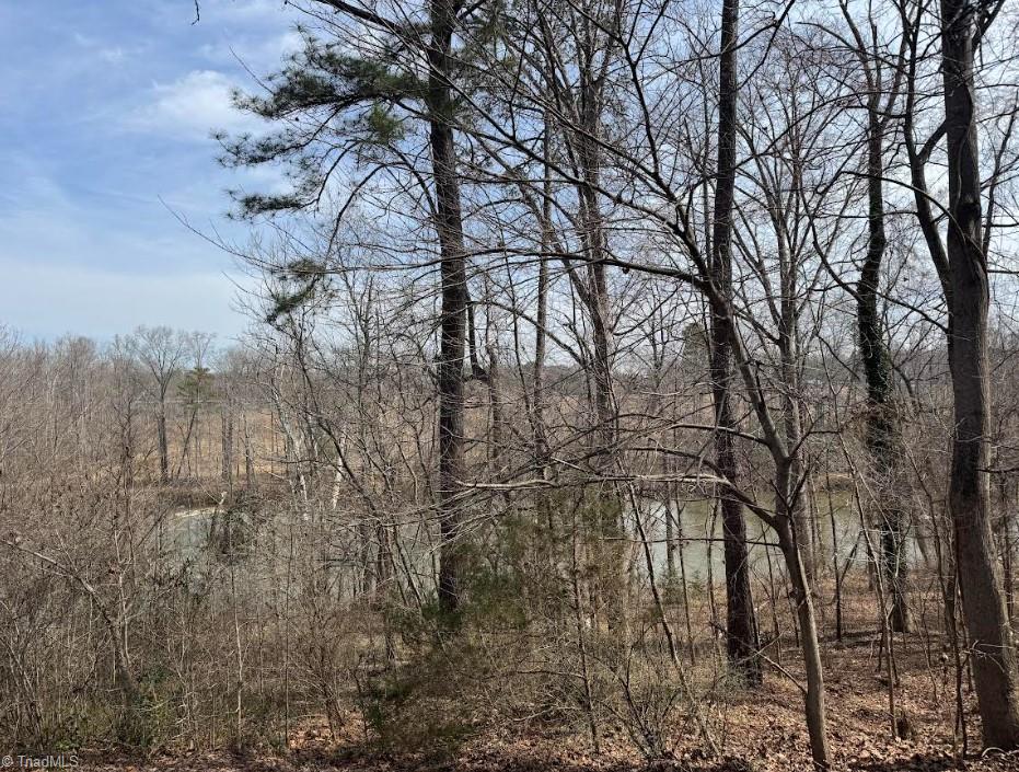1405 N Sellars Mill Road Property Photo