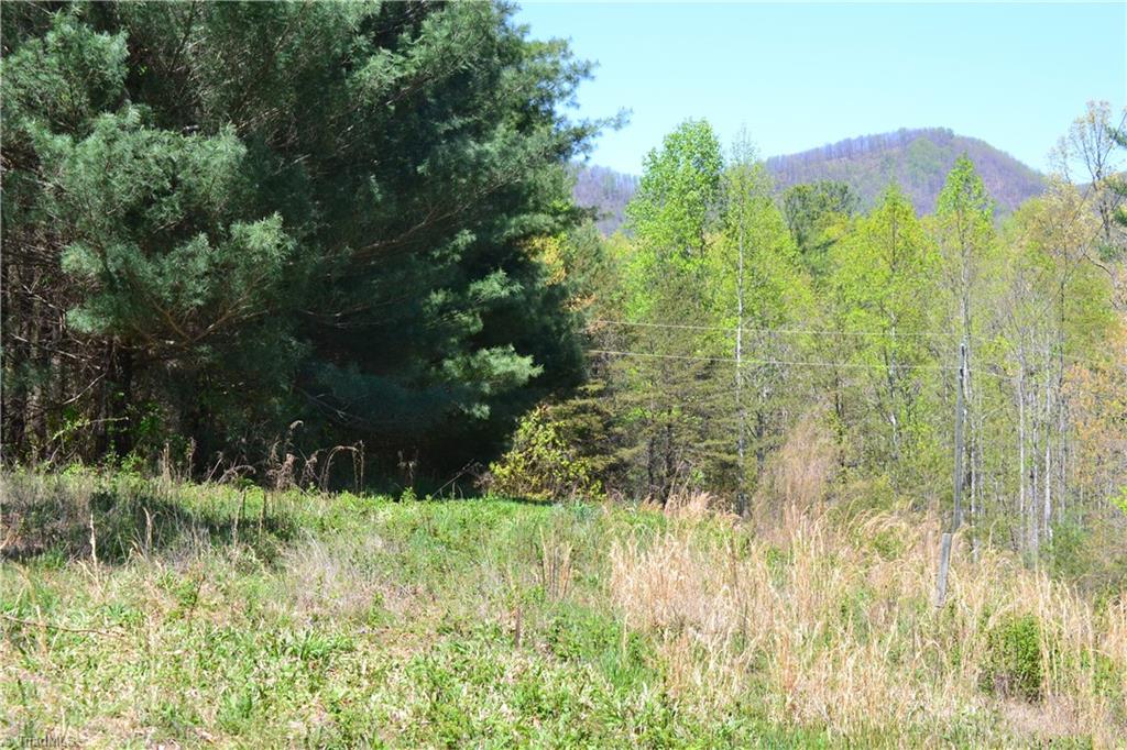 00 Swaringen Road Property Photo 1