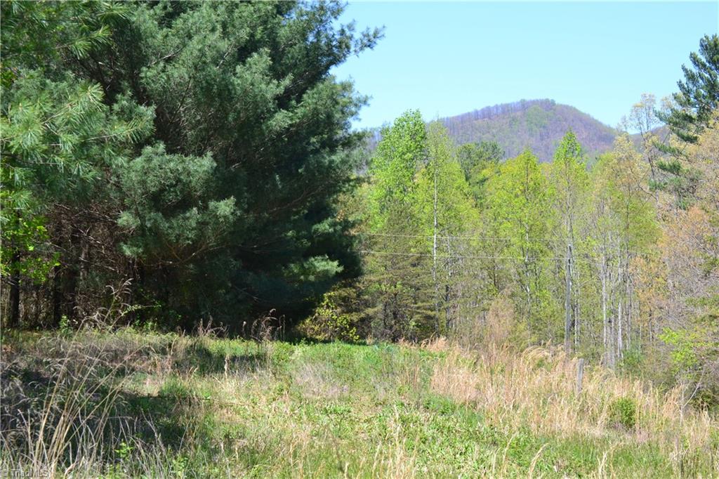 00 Swaringen Road Property Photo 3