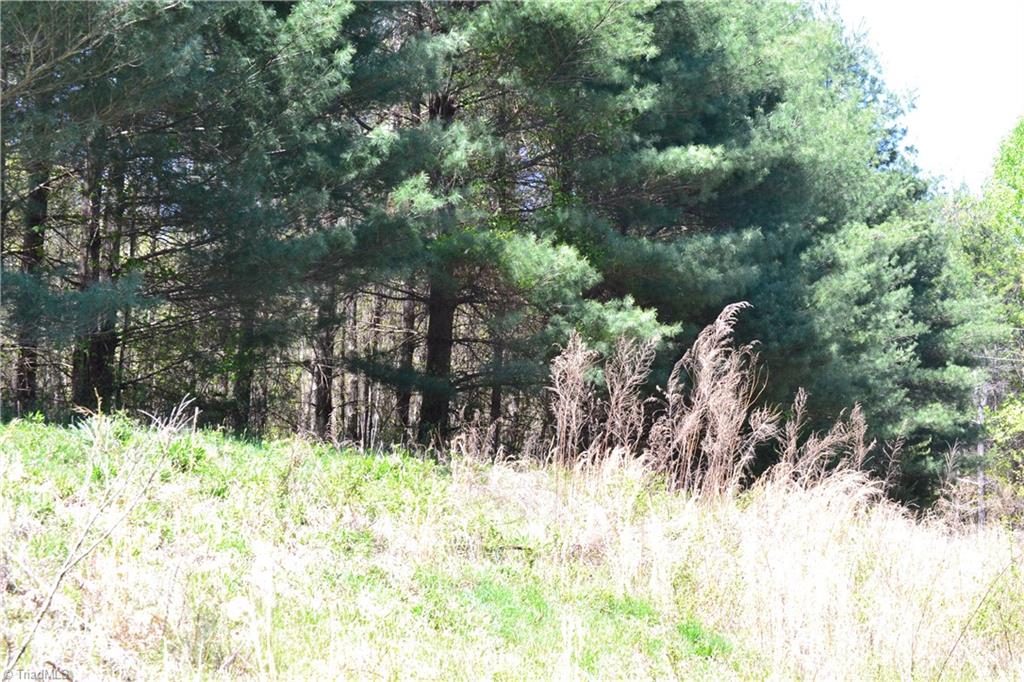00 Swaringen Road Property Photo 15