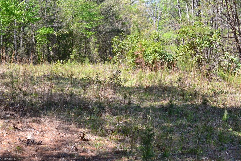 00 Swaringen Road Property Photo 21