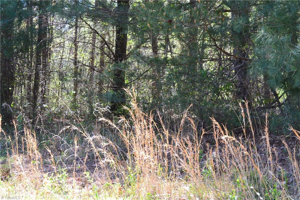 00 Swaringen Road Property Photo 25