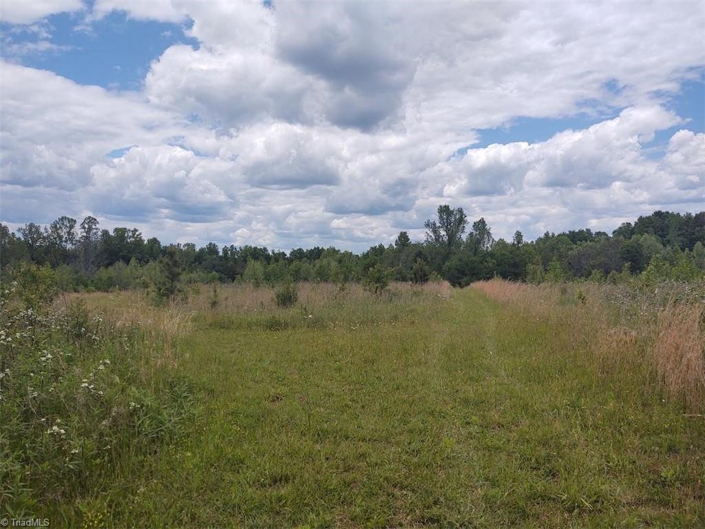 4842 Swepsonville Saxapahaw Road Property Photo