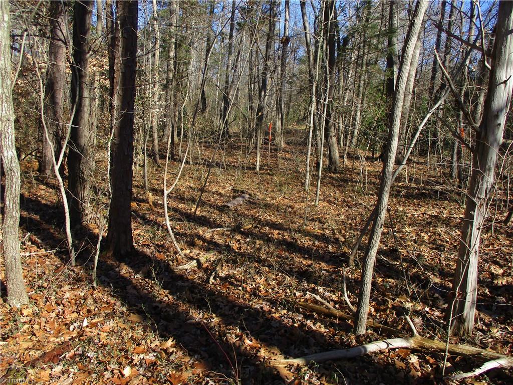 Davidson County Real Estate Listings Main Image