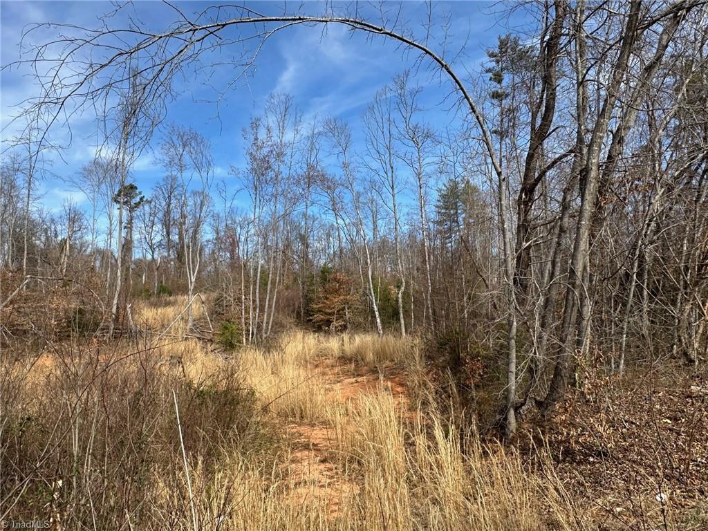 0000 Swan Creek Bypass Property Photo