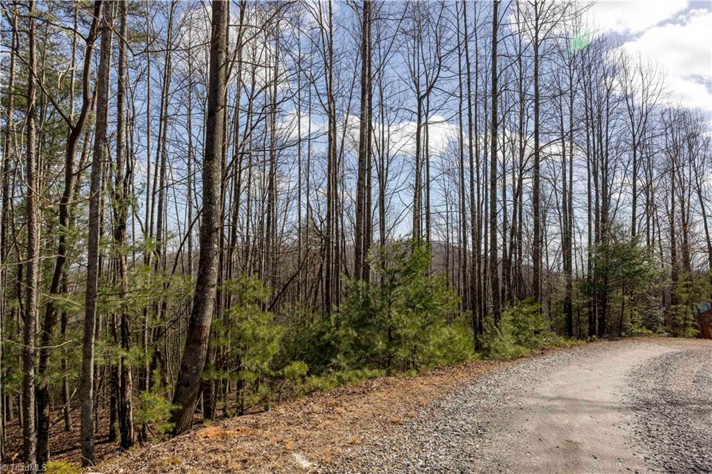 Tbd Fox Squirrel Circle Property Photo