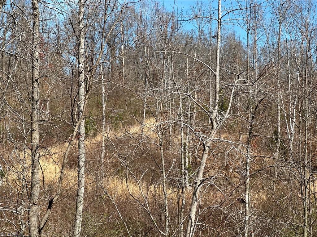 7 Swan Creek Bypass Property Photo