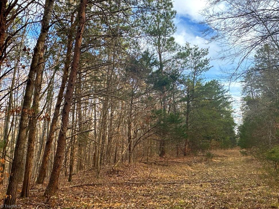 149 Pinecrest Drive Property Photo