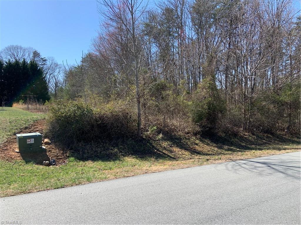 228 Sitting Rock Drive Property Photo 4