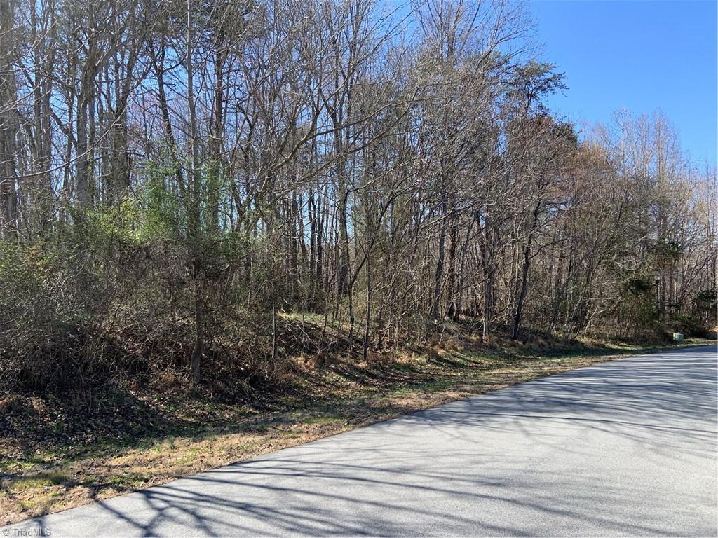 228 Sitting Rock Drive Property Photo 5