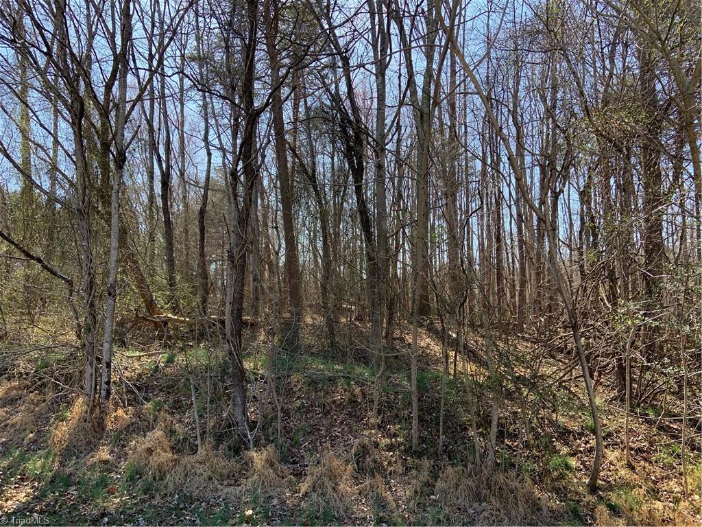 228 Sitting Rock Drive Property Photo 6